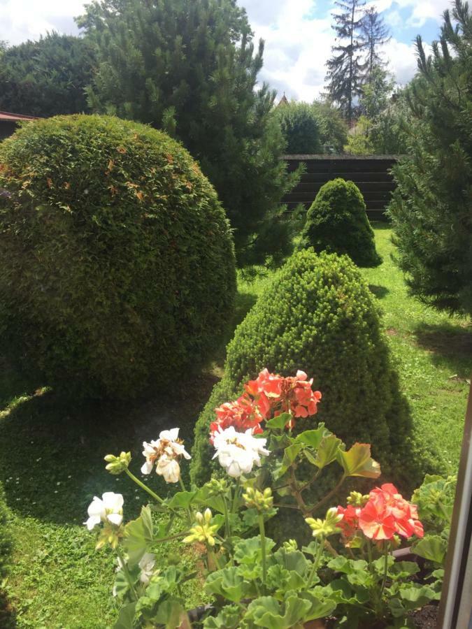 Vidiecky Dom Alexsandra - Ubytovanie V Sukromi Liptovska Ondrasova Exteriér fotografie